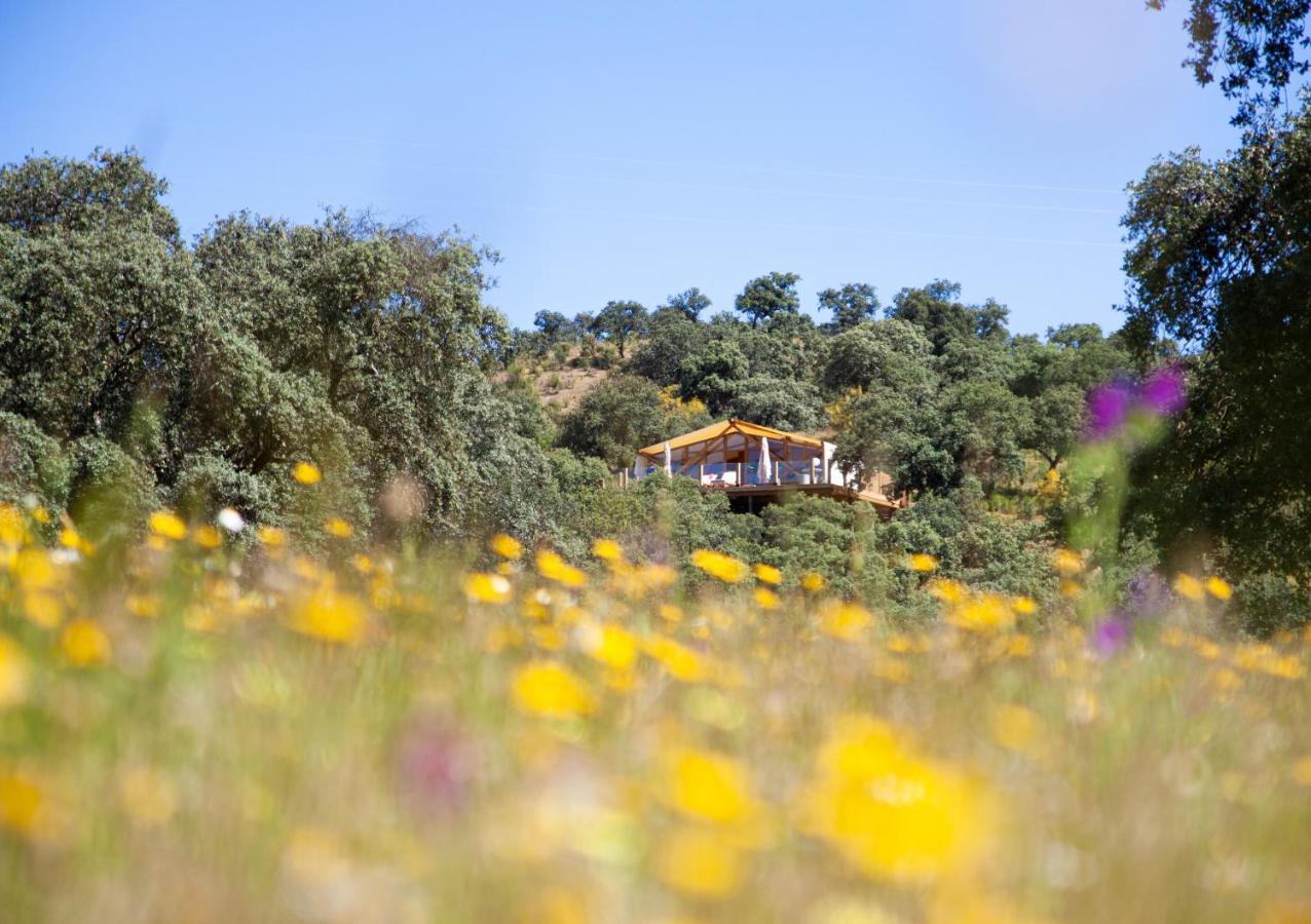 Hotel La Dehesa Experiences Adamuz Exteriér fotografie